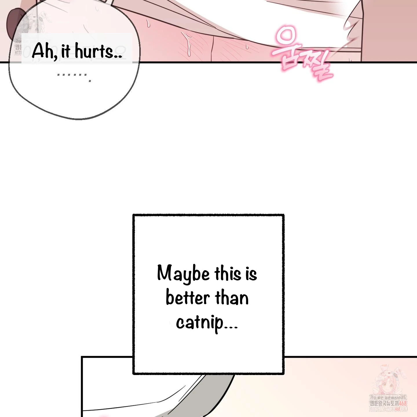 Taming A Cat Friend - Chapter 3 manhwa