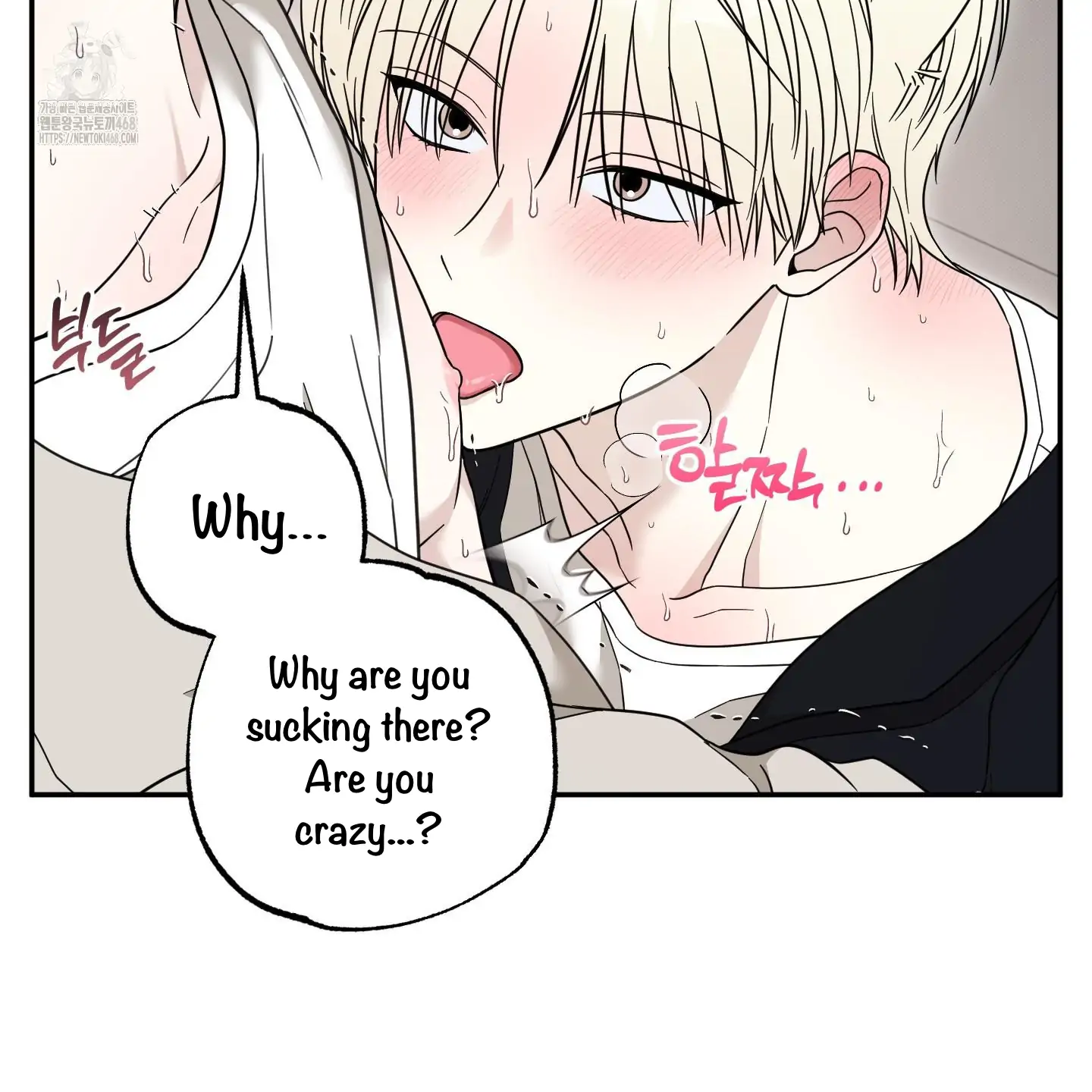 Taming A Cat Friend - Chapter 3 manhwa
