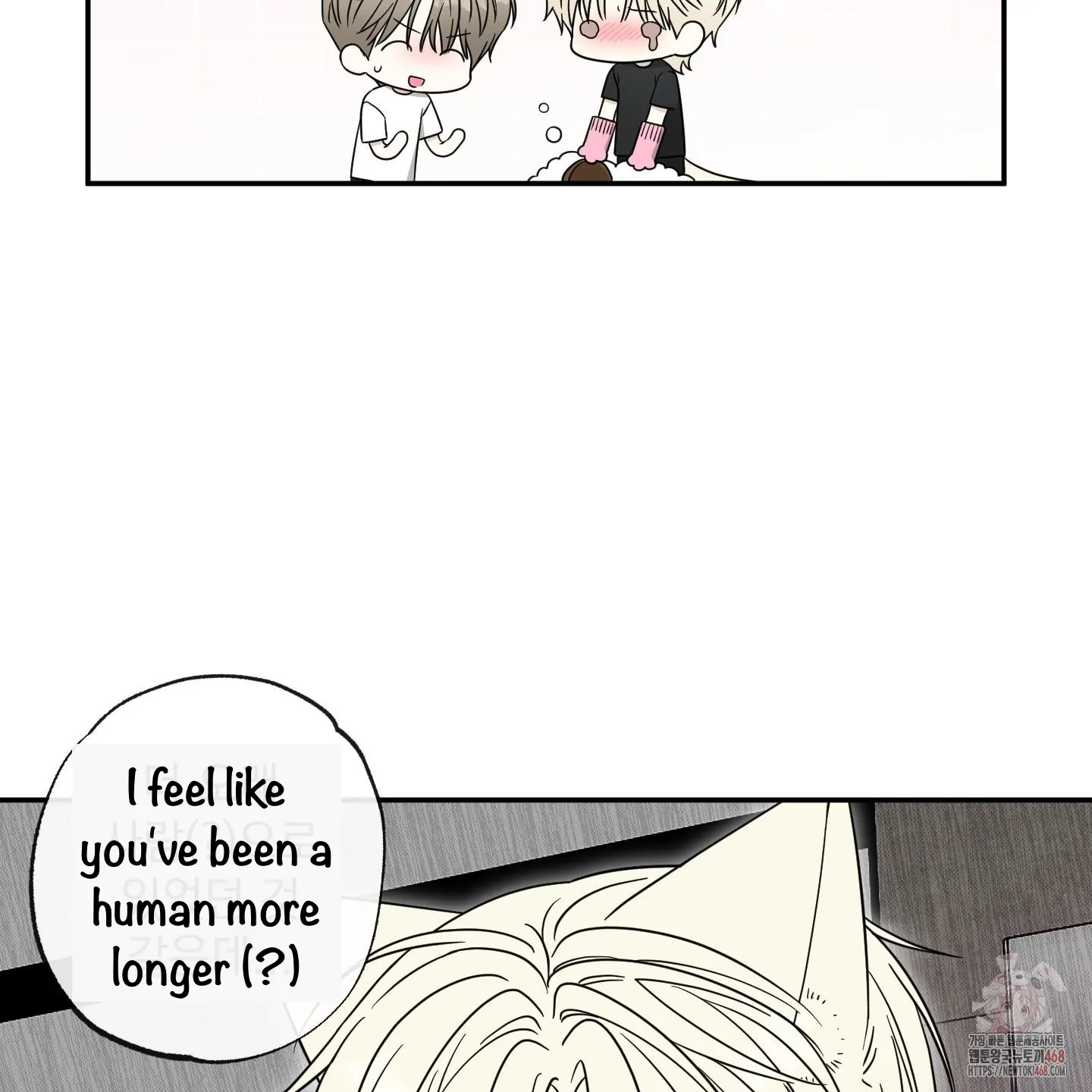 Taming A Cat Friend - Chapter 5 manhwa