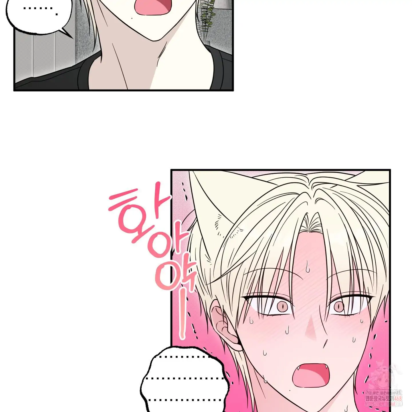 Taming A Cat Friend - Chapter 5 manhwa
