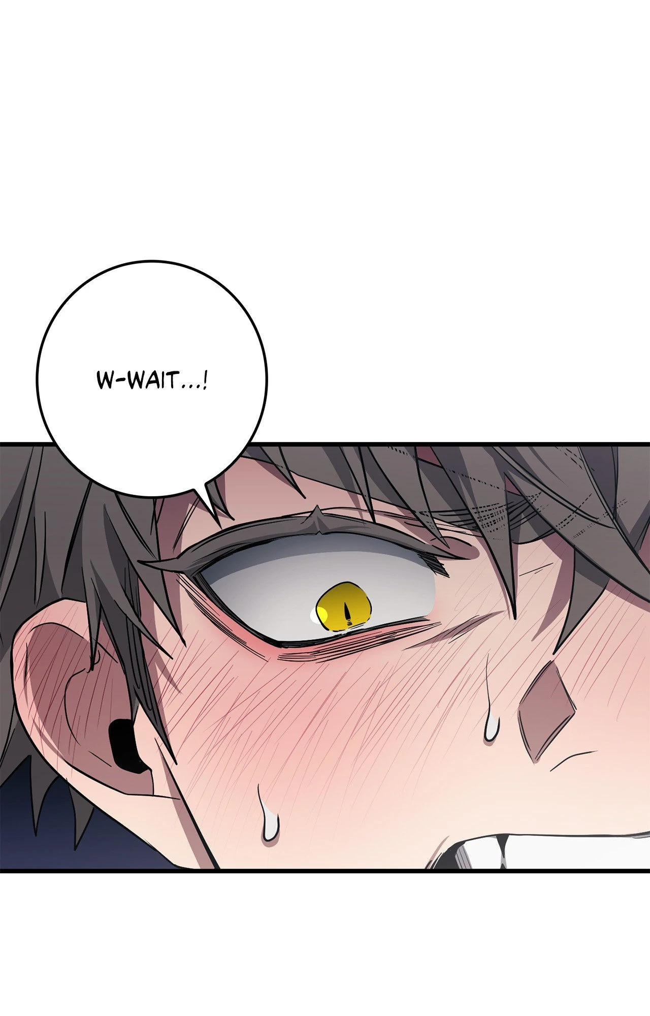 Blackout [Official Uncensored] - Chapter 13 manhwa
