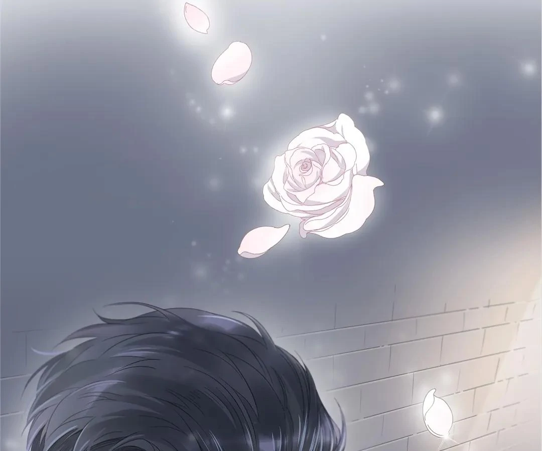 A Cross-Dresser’s Triple Proposal Chase (Official) - Chapter 1 manhwa