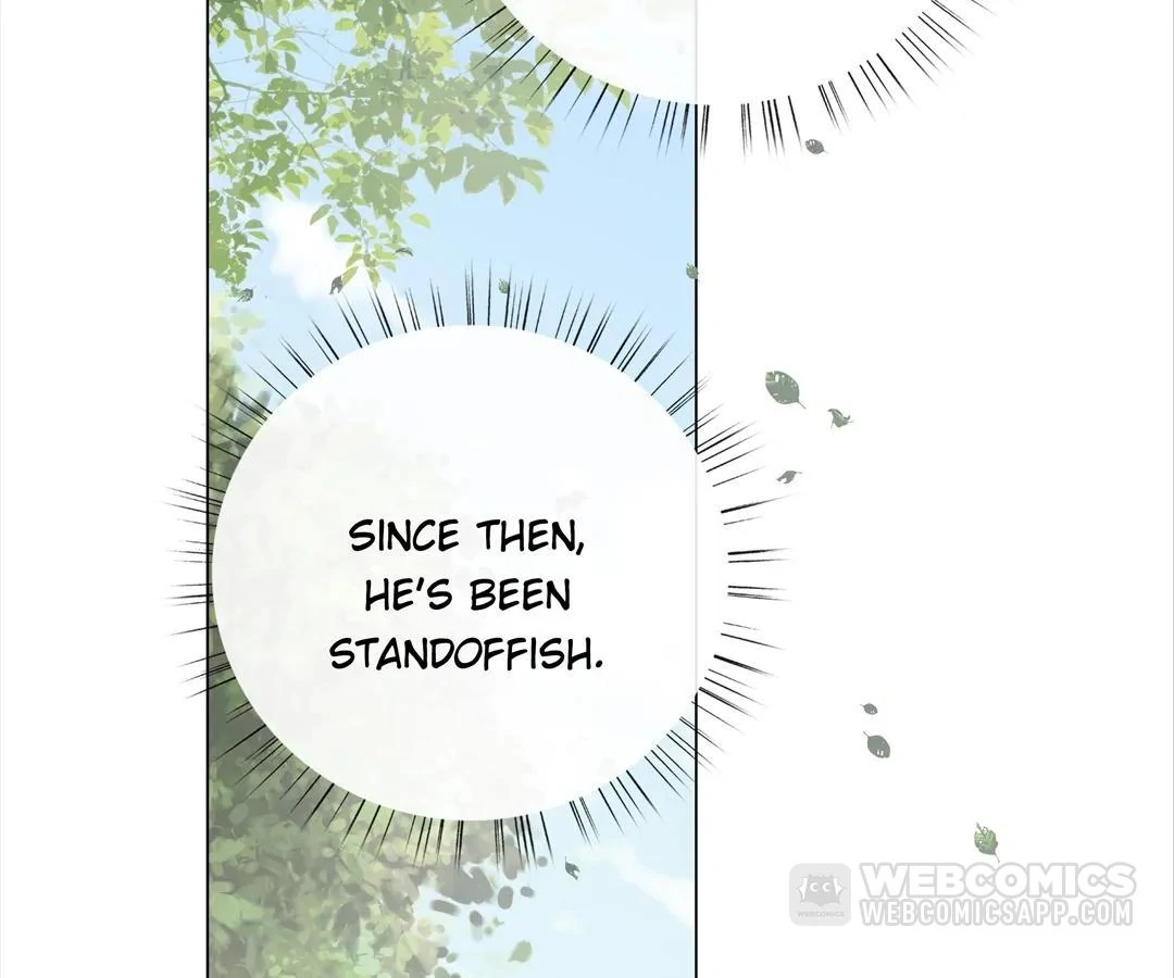 A Cross-Dresser’s Triple Proposal Chase (Official) - Chapter 13 manhwa