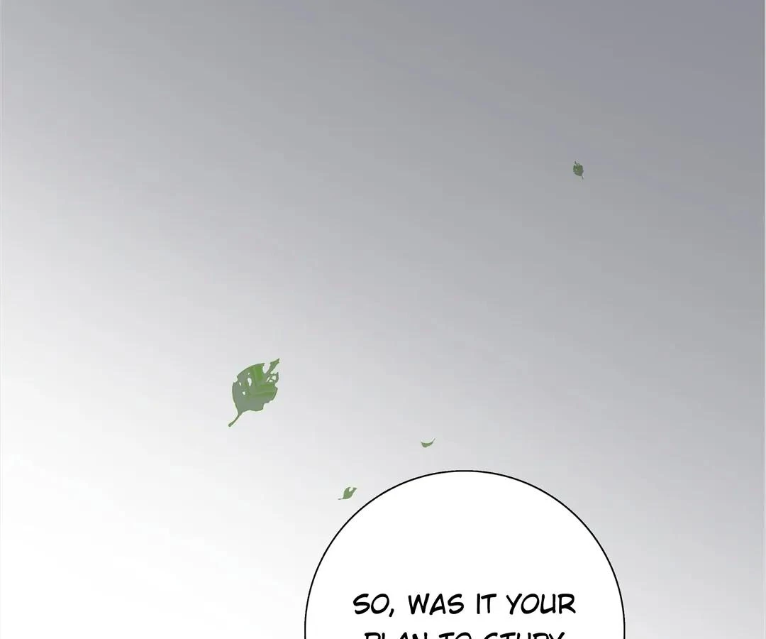 A Cross-Dresser’s Triple Proposal Chase (Official) - Chapter 13 manhwa