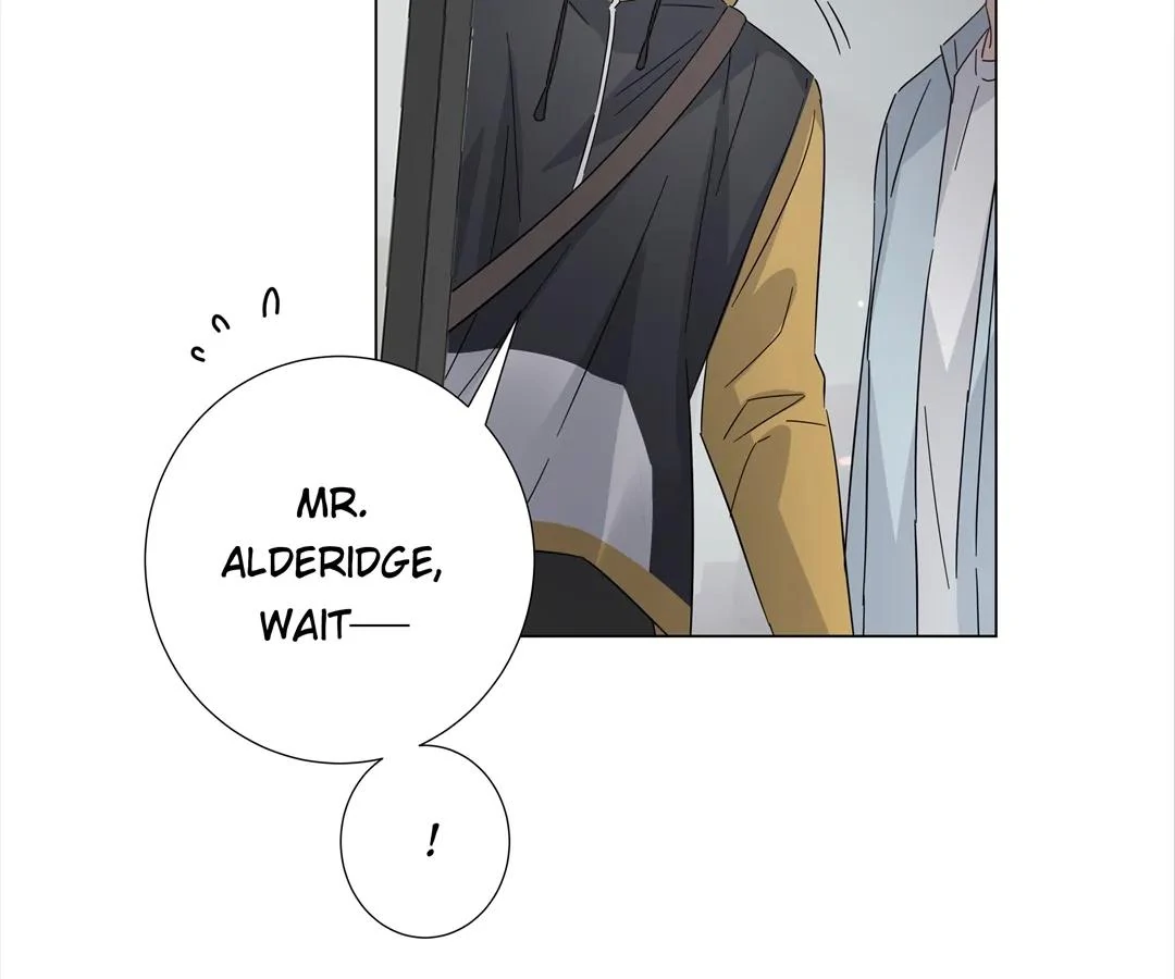 A Cross-Dresser’s Triple Proposal Chase (Official) - Chapter 14 manhwa