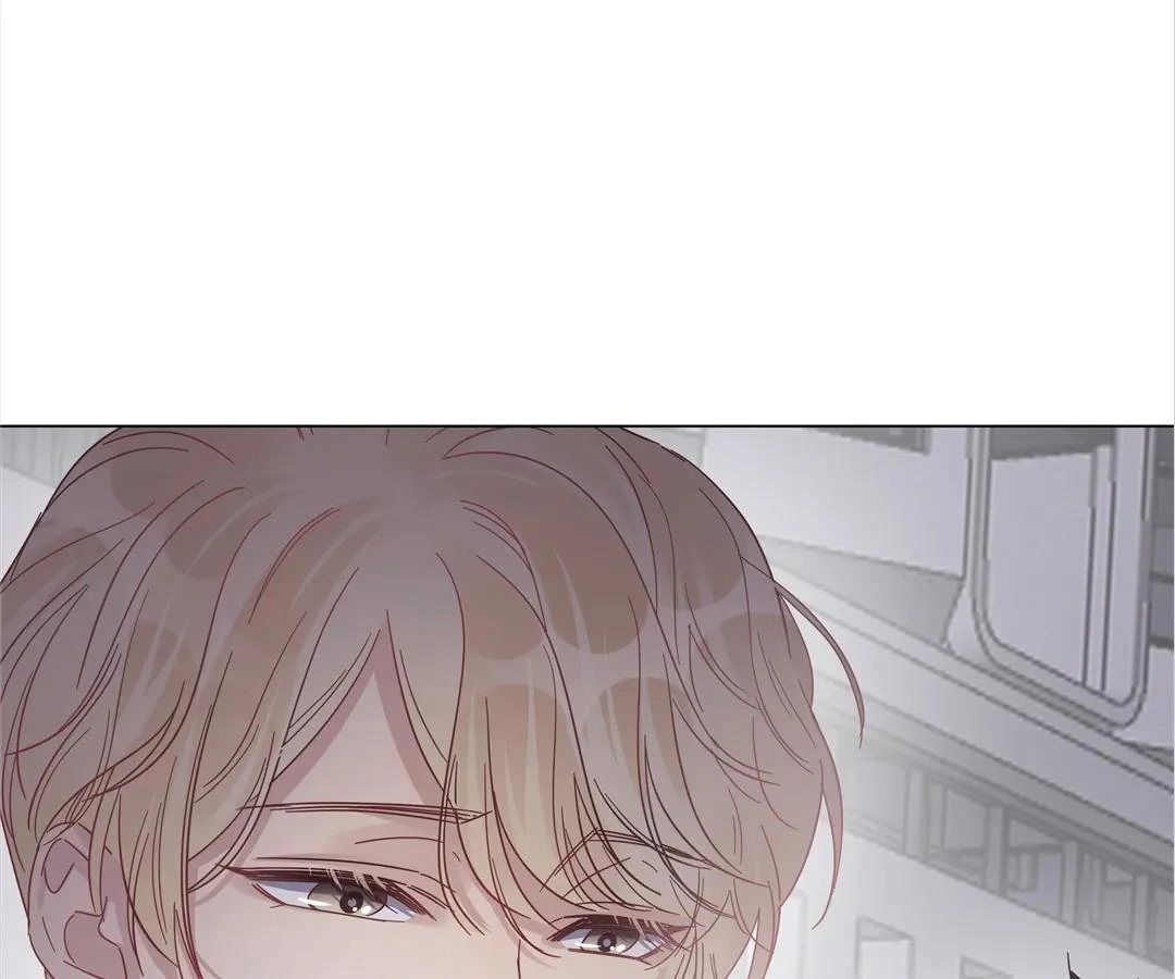 A Cross-Dresser’s Triple Proposal Chase (Official) - Chapter 17 manhwa