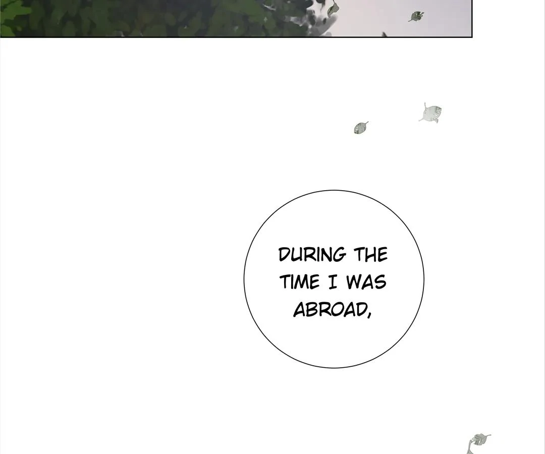 A Cross-Dresser’s Triple Proposal Chase (Official) - Chapter 17 manhwa