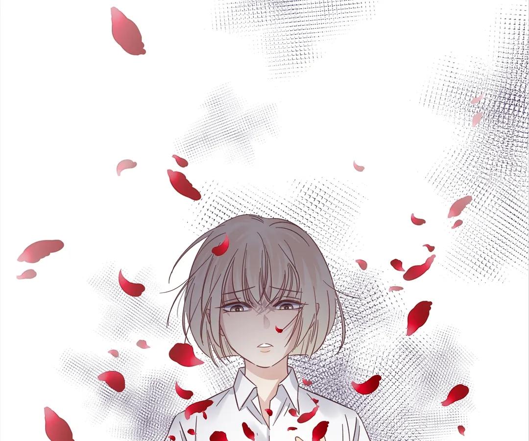 A Cross-Dresser’s Triple Proposal Chase (Official) - Chapter 18 manhwa