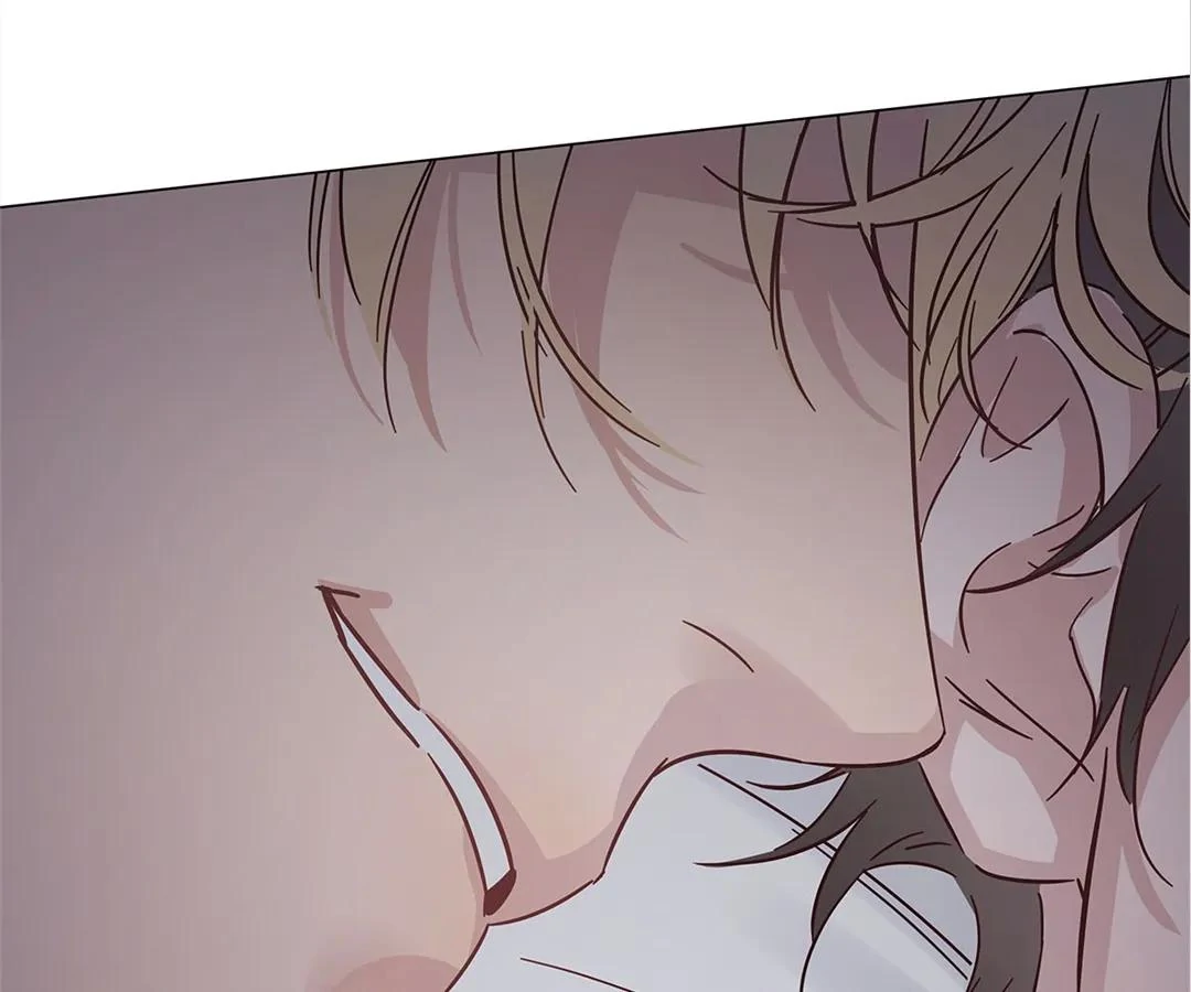 A Cross-Dresser’s Triple Proposal Chase (Official) - Chapter 18 manhwa