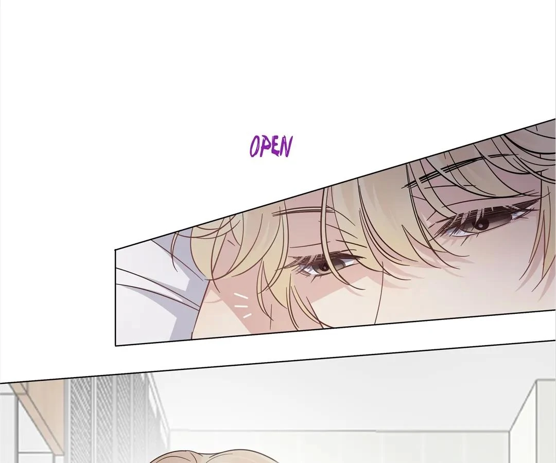 A Cross-Dresser’s Triple Proposal Chase (Official) - Chapter 19 manhwa