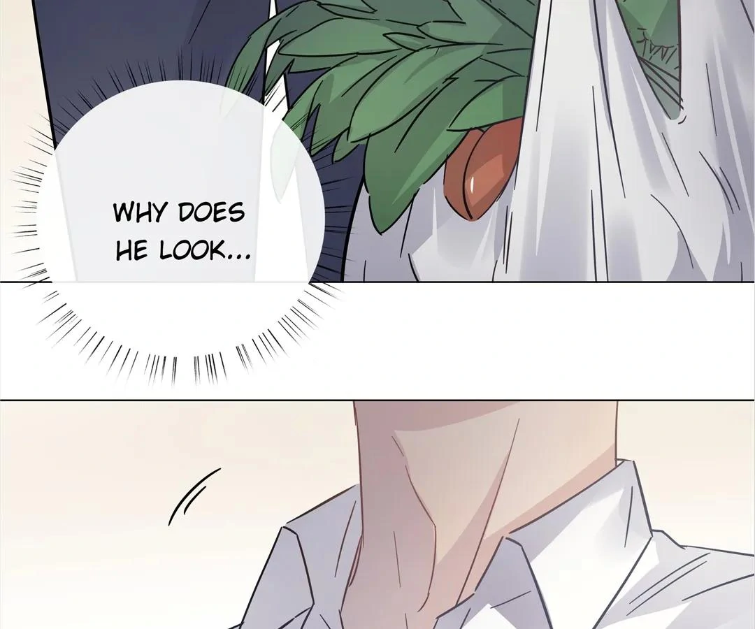 A Cross-Dresser’s Triple Proposal Chase (Official) - Chapter 19 manhwa