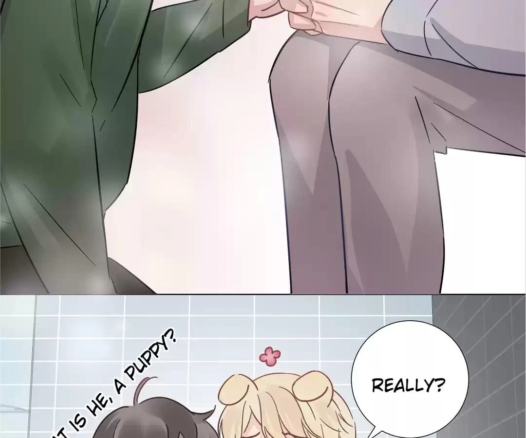 A Cross-Dresser’s Triple Proposal Chase (Official) - Chapter 21 manhwa