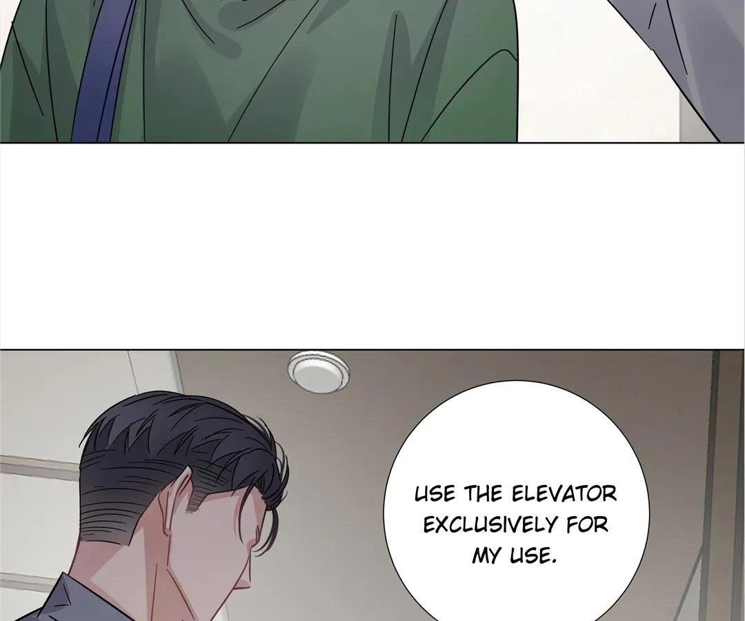 A Cross-Dresser’s Triple Proposal Chase (Official) - Chapter 36 manhwa