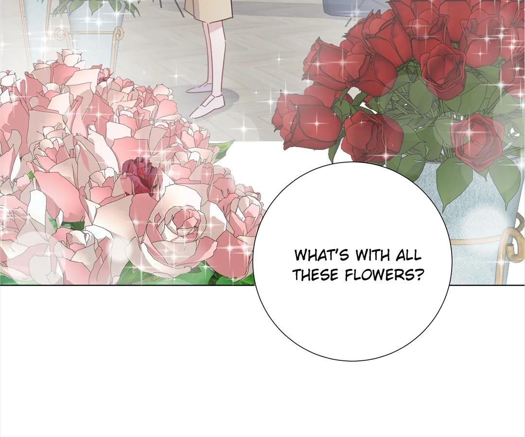 A Cross-Dresser’s Triple Proposal Chase (Official) - Chapter 40 manhwa
