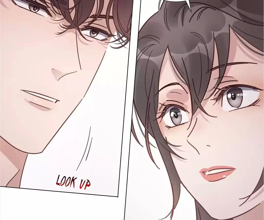A Cross-Dresser’s Triple Proposal Chase (Official) - Chapter 41 manhwa