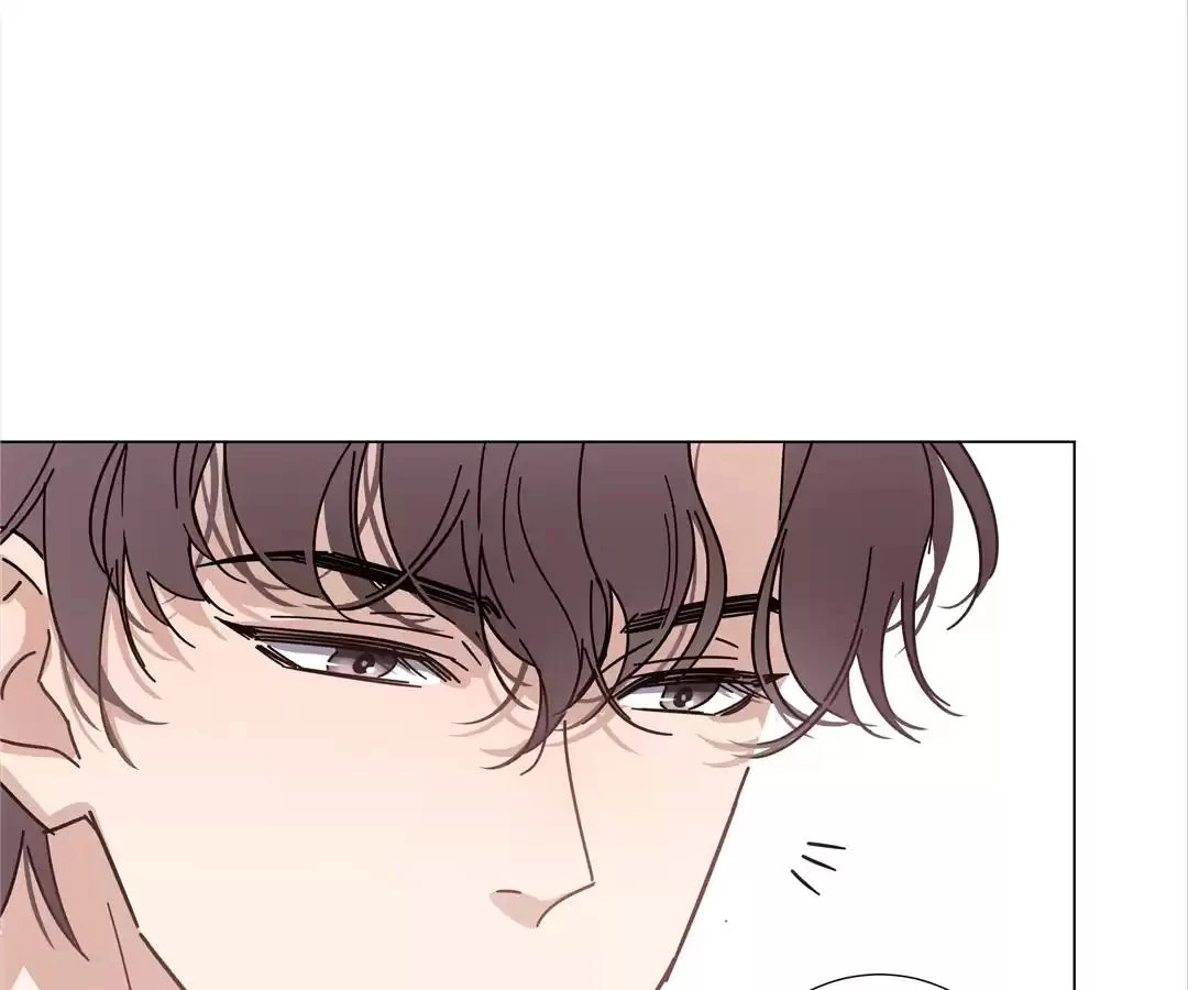 A Cross-Dresser’s Triple Proposal Chase (Official) - Chapter 41 manhwa