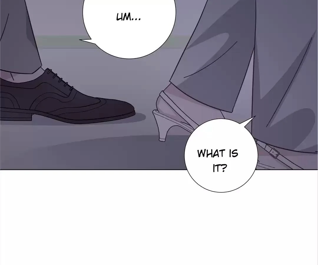A Cross-Dresser’s Triple Proposal Chase (Official) - Chapter 41 manhwa