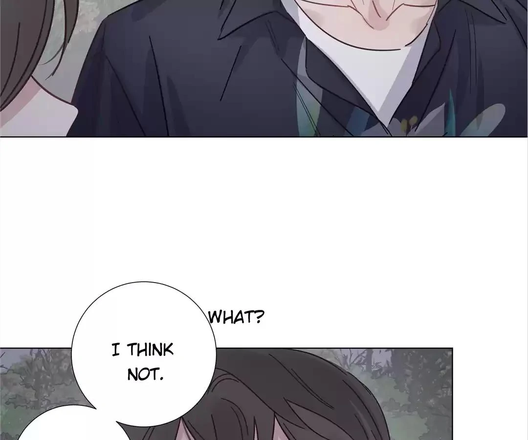 A Cross-Dresser’s Triple Proposal Chase (Official) - Chapter 41 manhwa