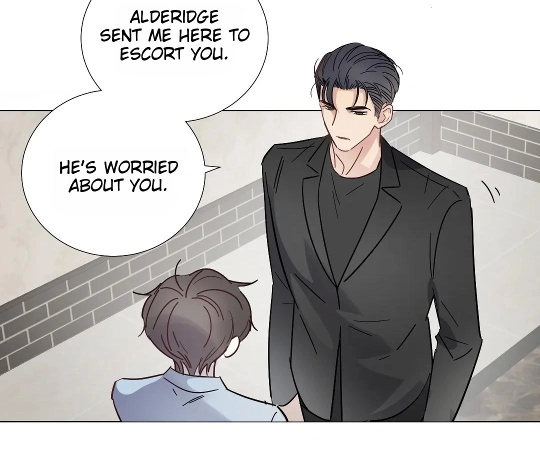 A Cross-Dresser’s Triple Proposal Chase (Official) - Chapter 47 manhwa