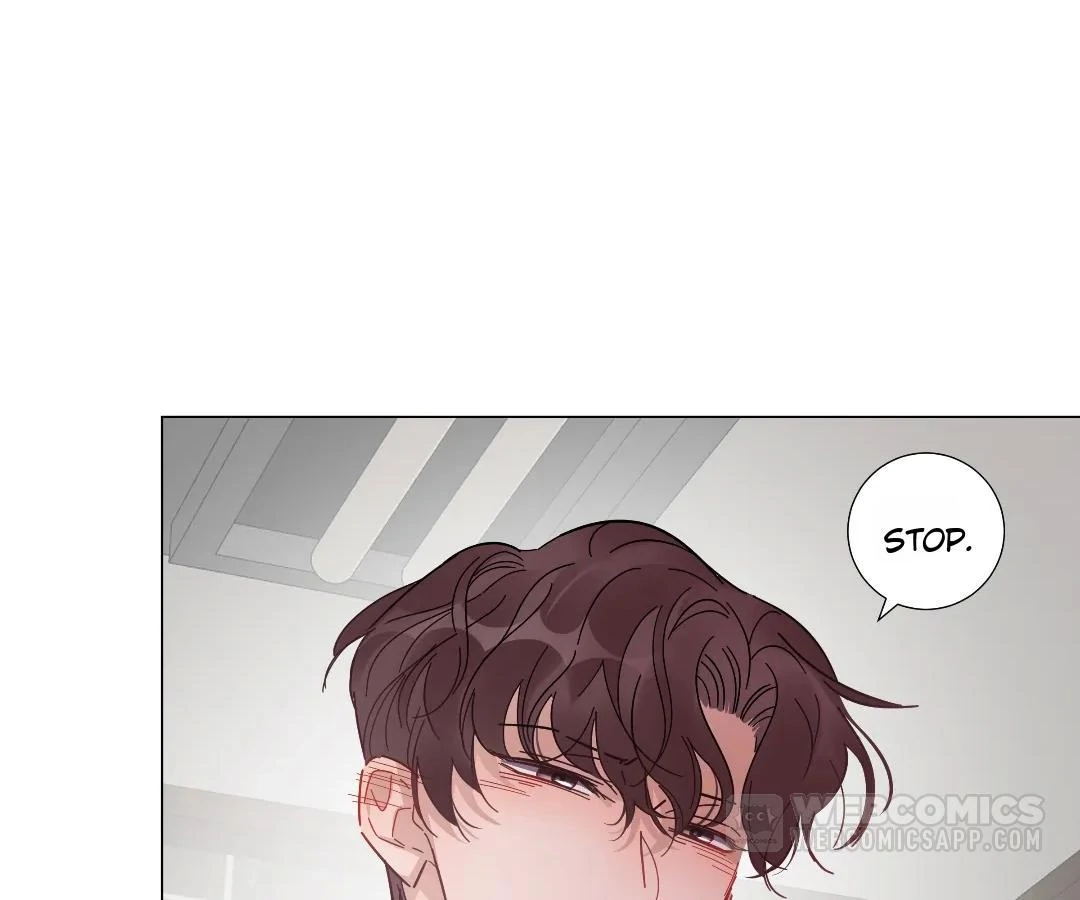 A Cross-Dresser’s Triple Proposal Chase (Official) - Chapter 49 manhwa