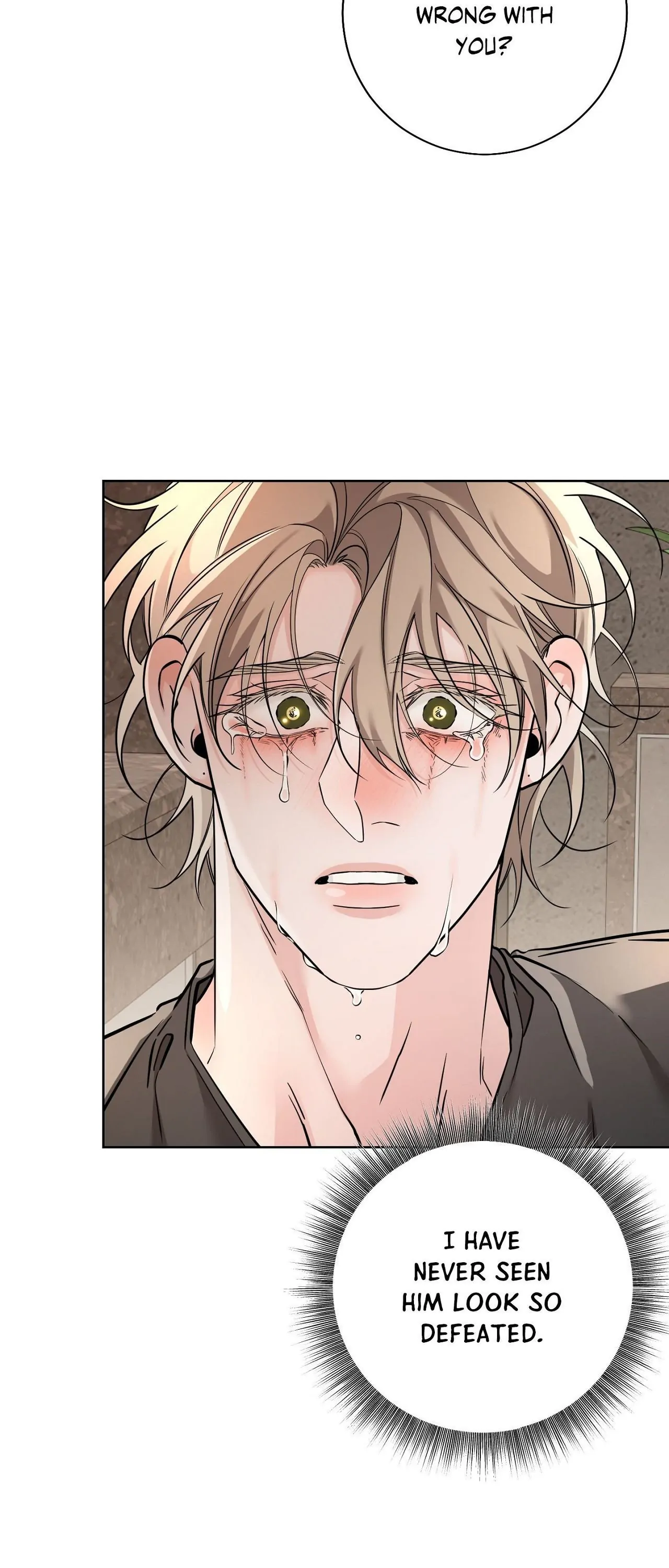 Lights, Camera, Action! - Chapter 14 manhwa