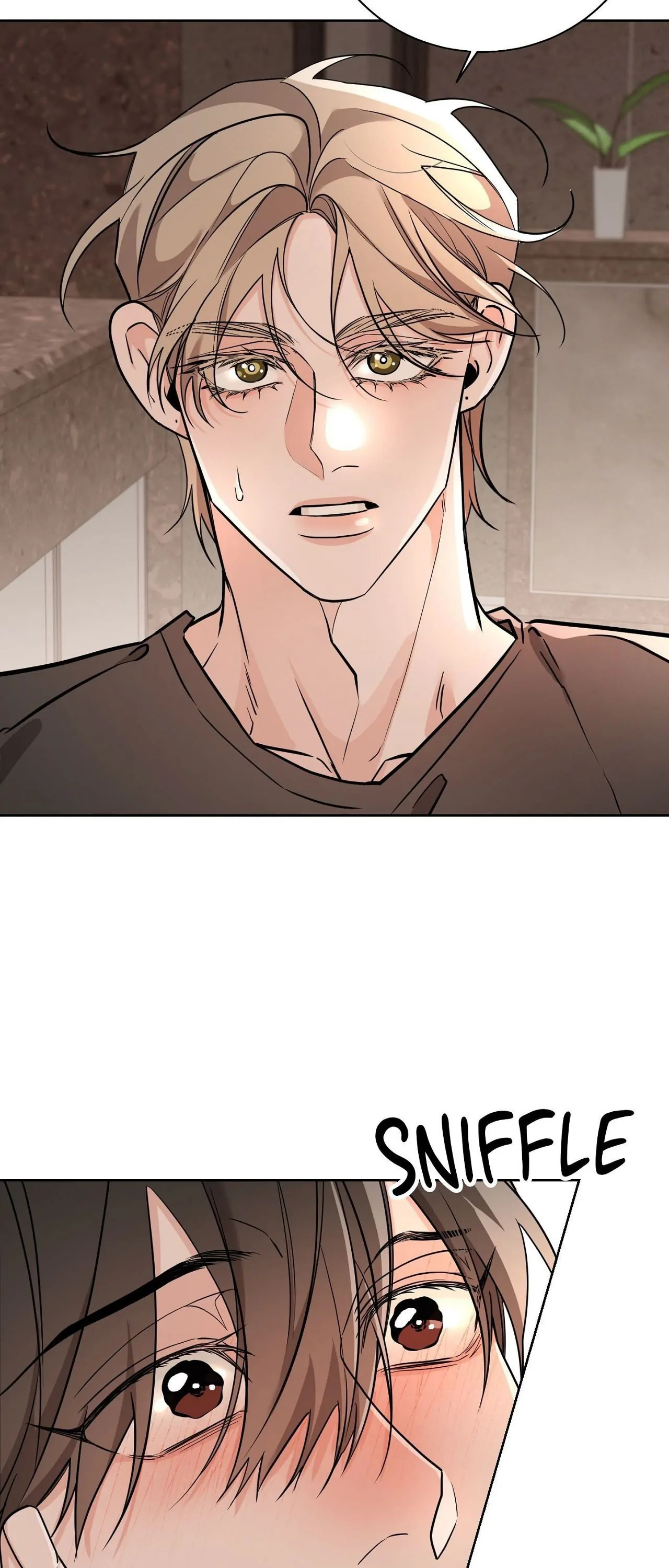 Lights, Camera, Action! - Chapter 14 manhwa