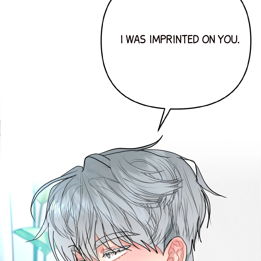 Peppermint Candy [Myth Toons] - Chapter 8 : 2nd ML? manhwa