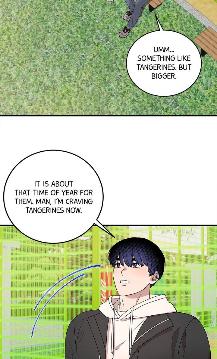An Uneventful Neighborhood [Official] - Episode 13 manhwa