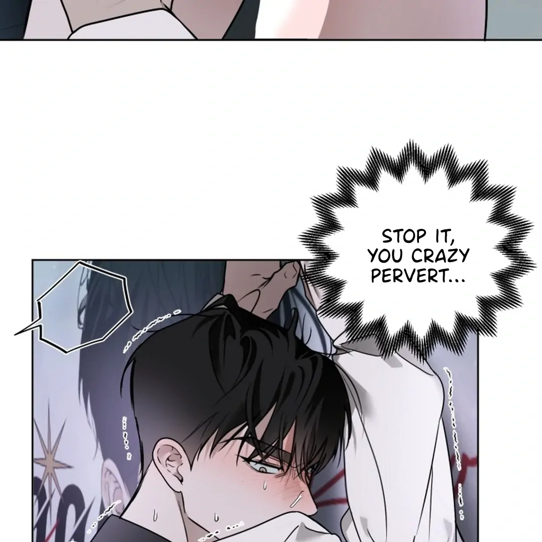 My Idol Diary - Chapter 2 manhwa