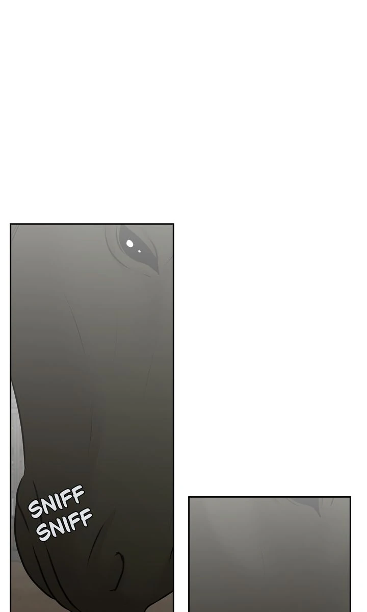 My Sweet Demon King [Mature Official] - Episode 11 manhwa