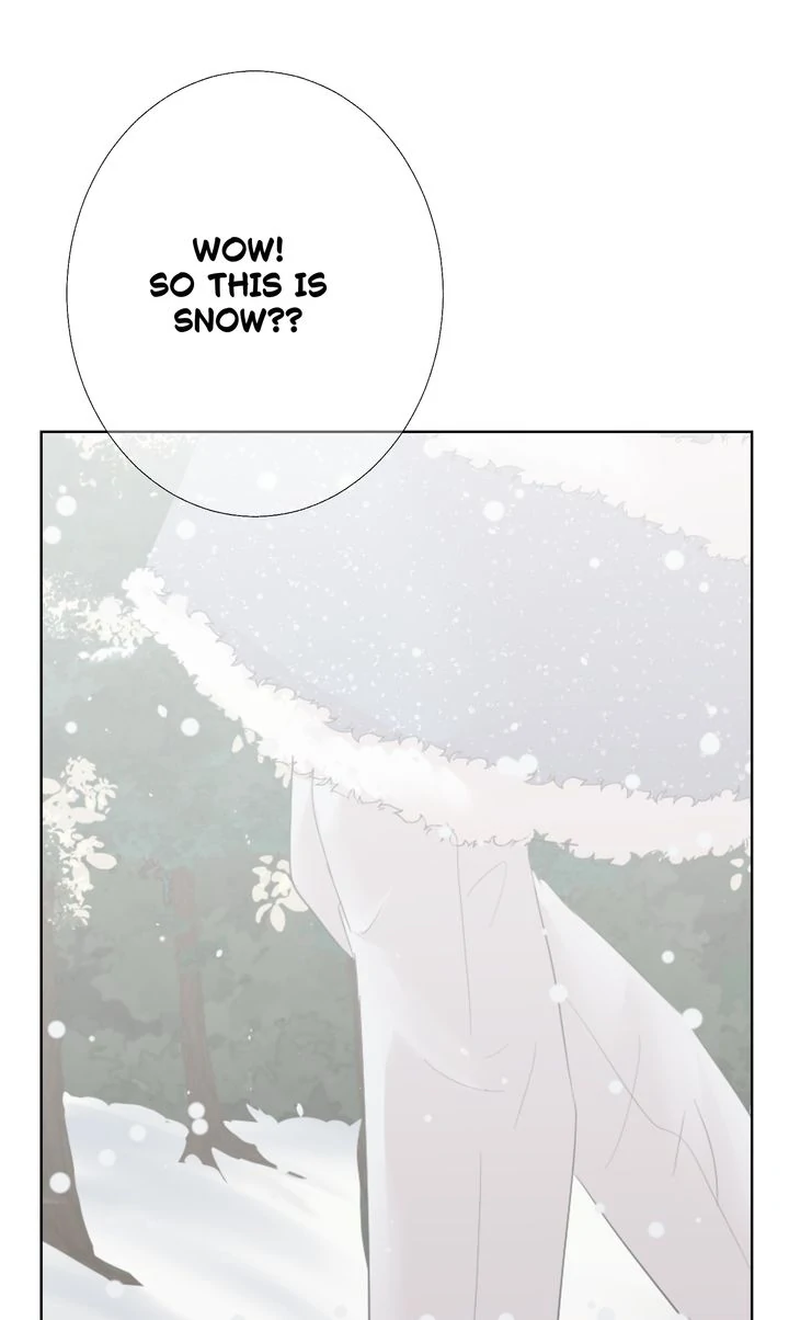 My Sweet Demon King [Mature Official] - Episode 5 manhwa