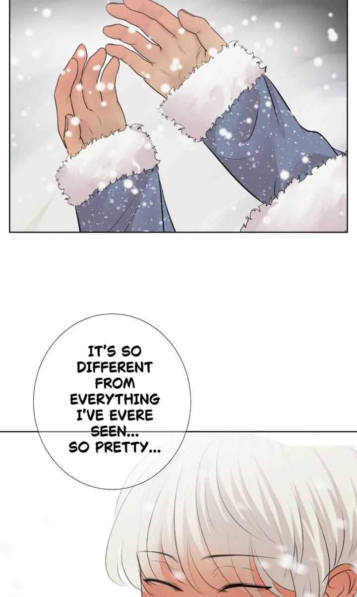 My Sweet Demon King [Mature Official] - Episode 5 manhwa