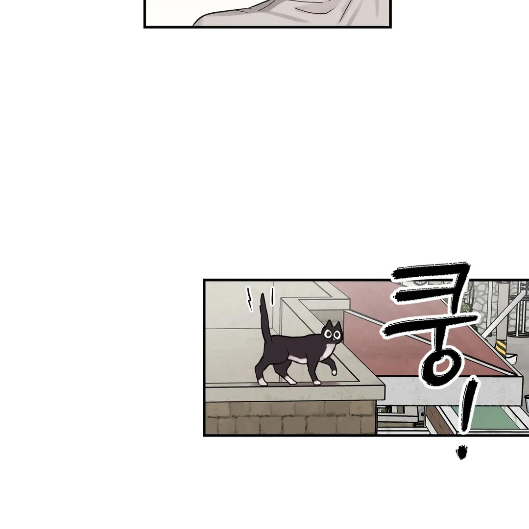 chichi ( PARADISE SCANS ) - Chapter 3 manhwa