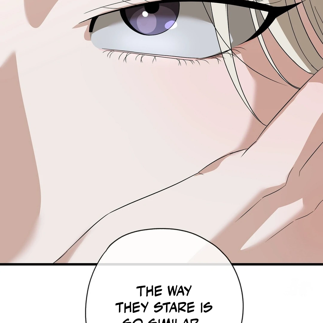 CANDY CONTRACT ( PARADISE SCANS ) - Chapter 3 manhwa