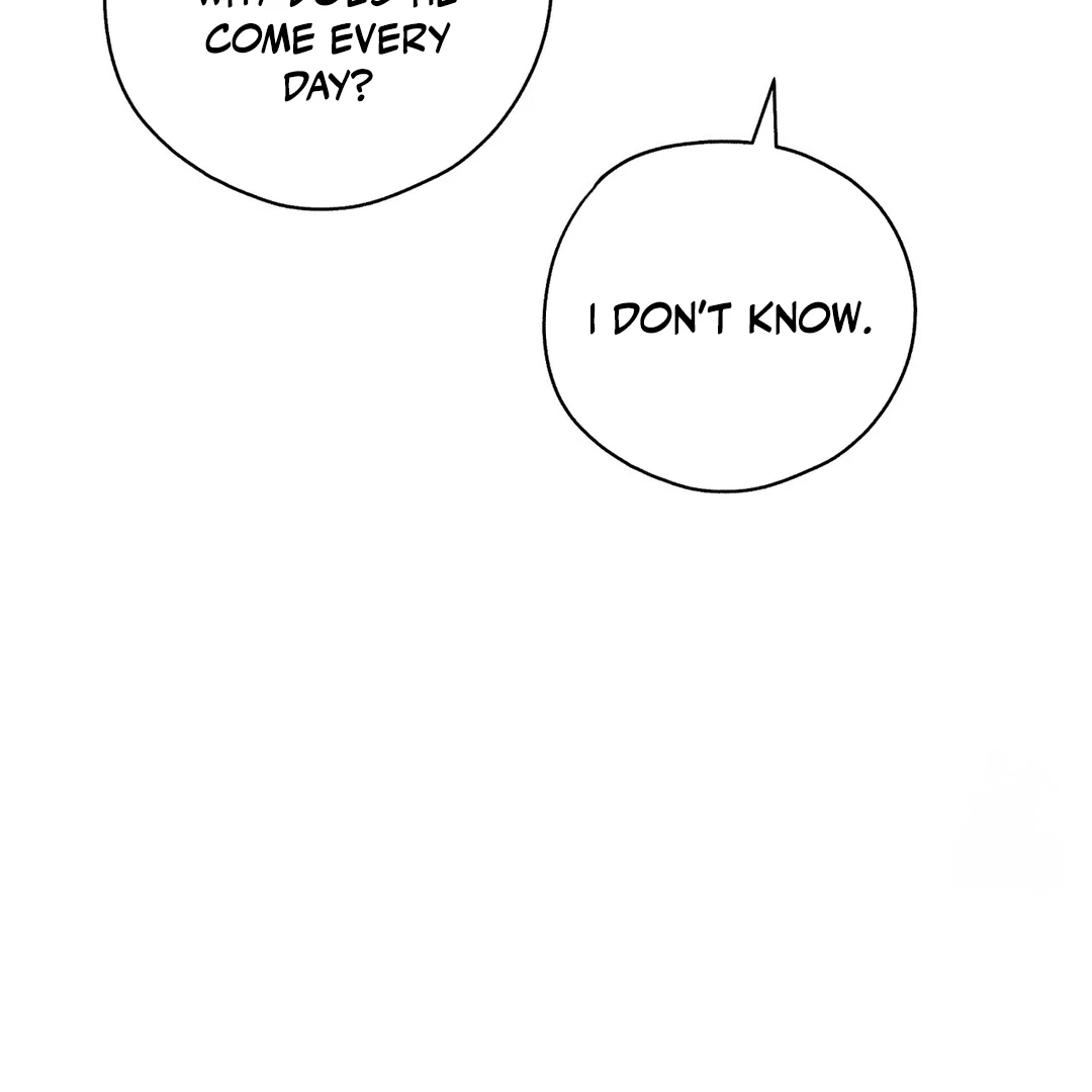 CANDY CONTRACT ( PARADISE SCANS ) - Chapter 3 manhwa