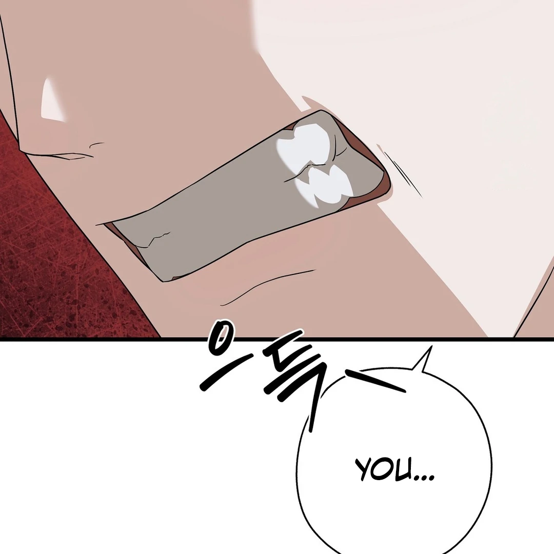CANDY CONTRACT ( PARADISE SCANS ) - Chapter 4 manhwa