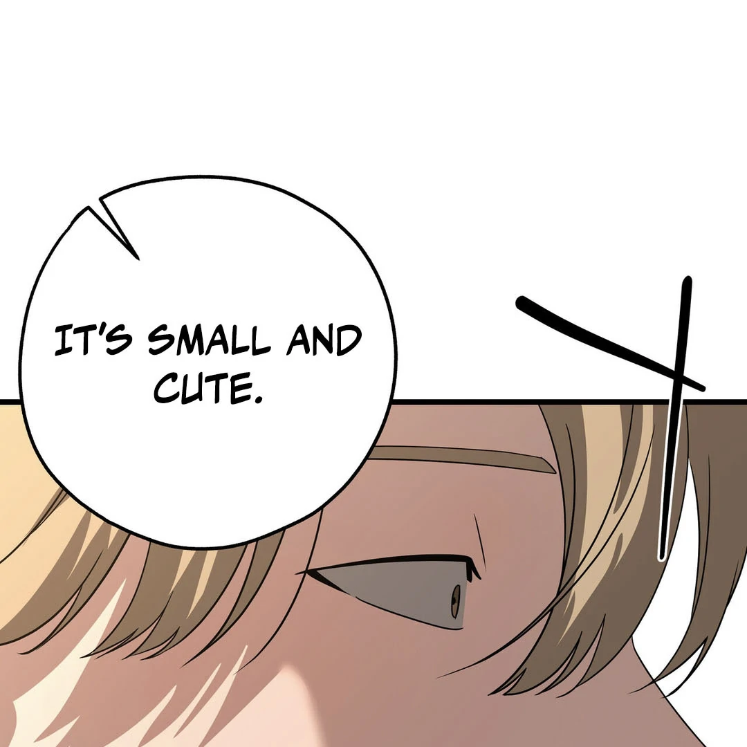 CANDY CONTRACT ( PARADISE SCANS ) - Chapter 8 manhwa