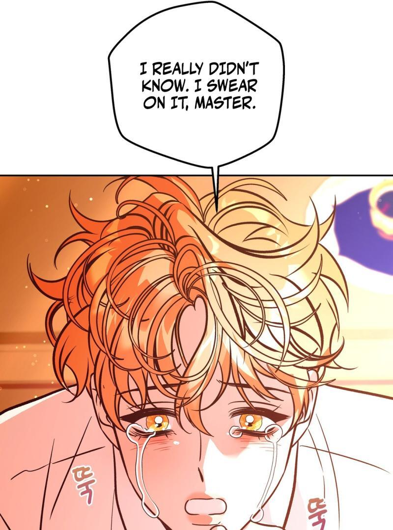 ORCA MANSION ( PARADISE SCANS ) - Chapter 5 🔞 manhwa