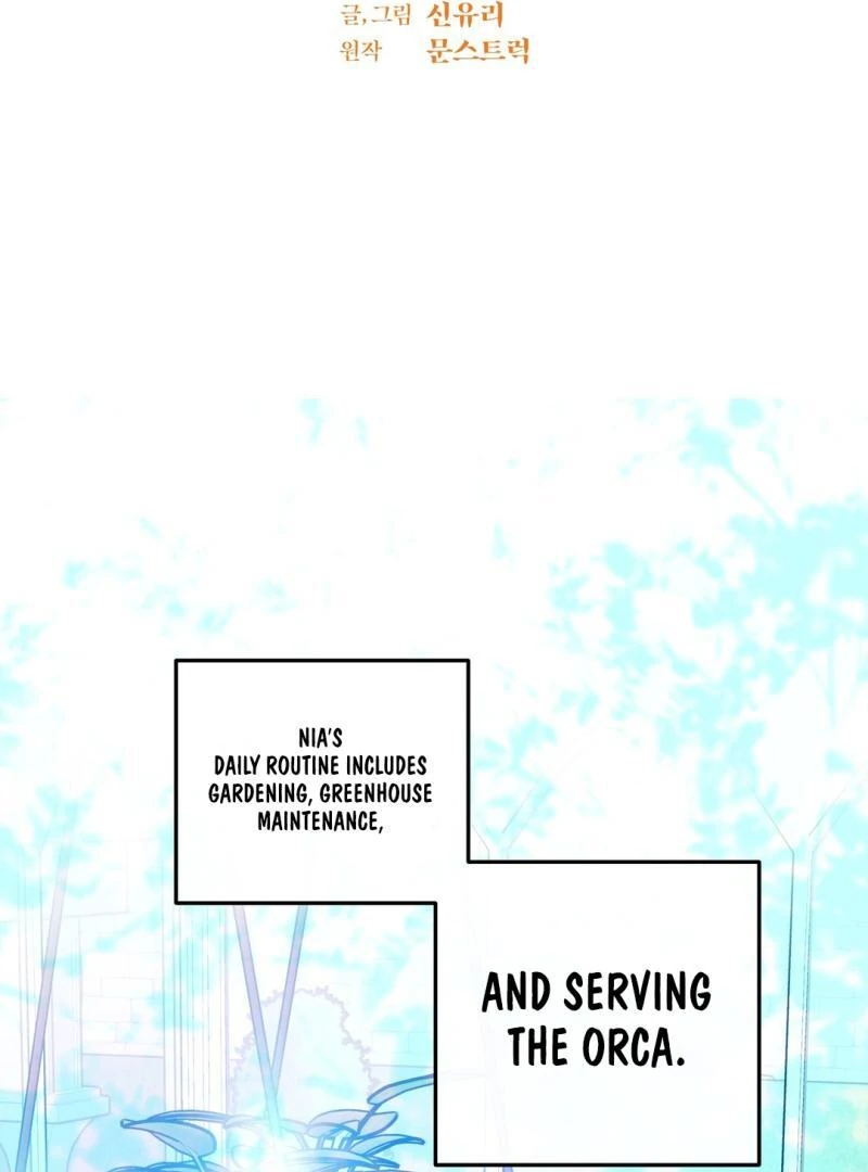 ORCA MANSION ( PARADISE SCANS ) - Chapter 6 manhwa