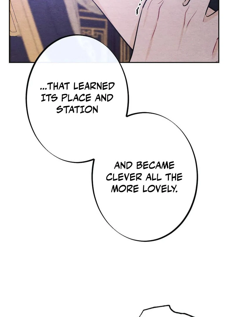 Agony of Separation || PARADISE SCANS || - Chapter 5 manhwa