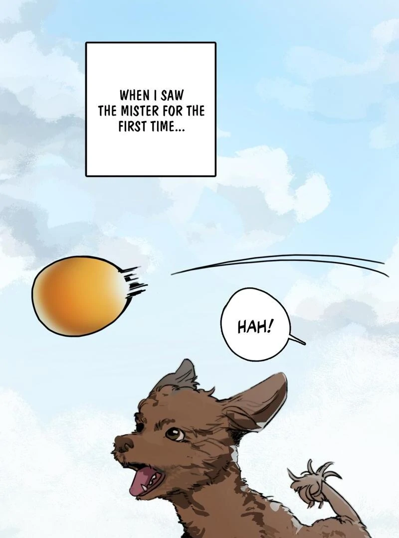 A Lucky Dream - Chapter 1 ππ manhwa