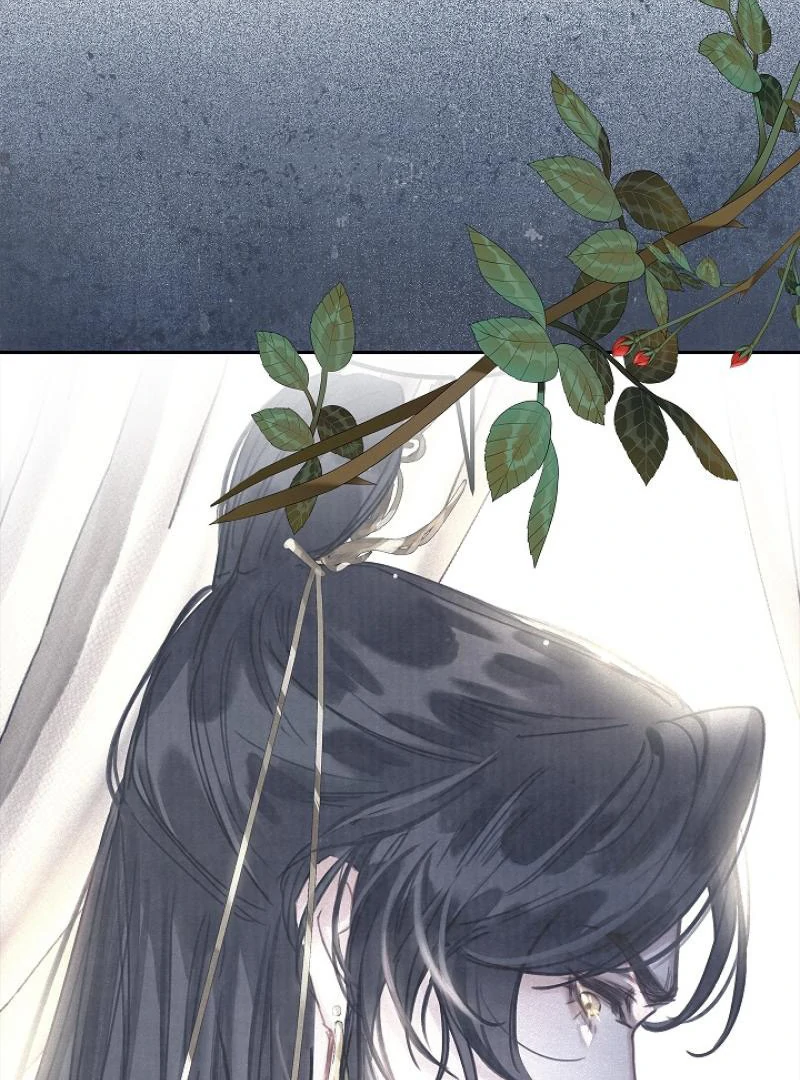 I Became the Emperor’s Hated Male Concubine || PARADISE SCANS || - Chapter 2 manhwa