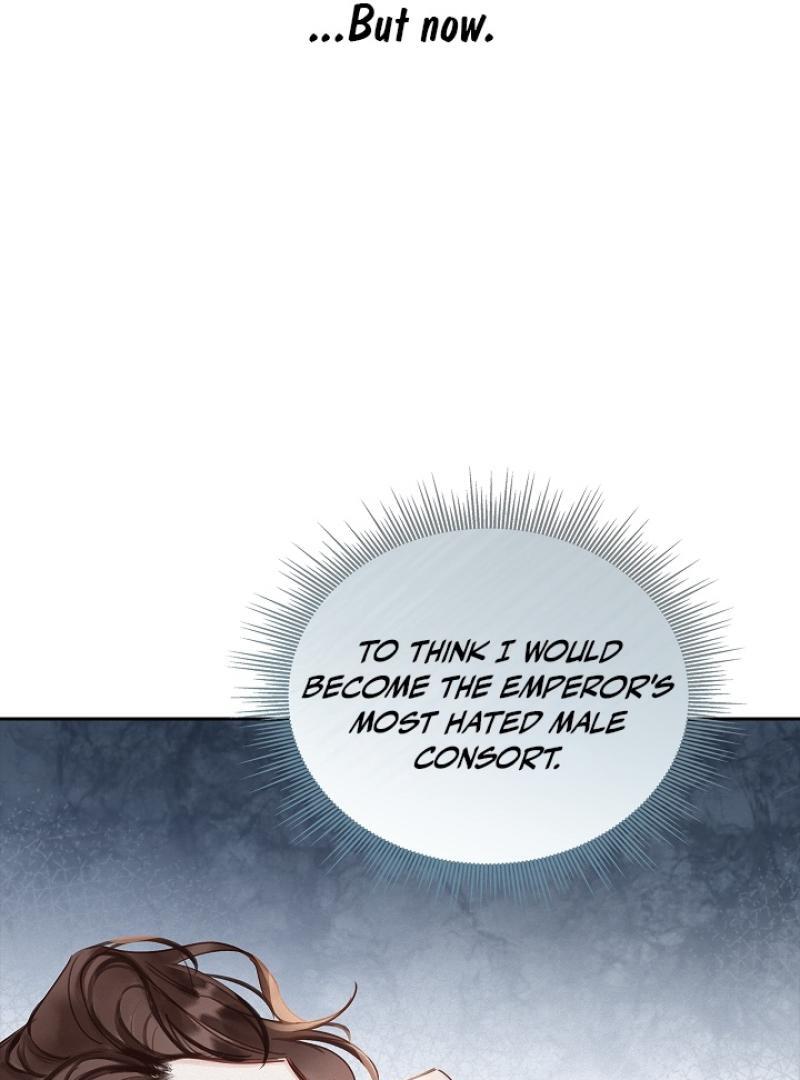 I Became the Emperor’s Hated Male Concubine || PARADISE SCANS || - Chapter 2 manhwa