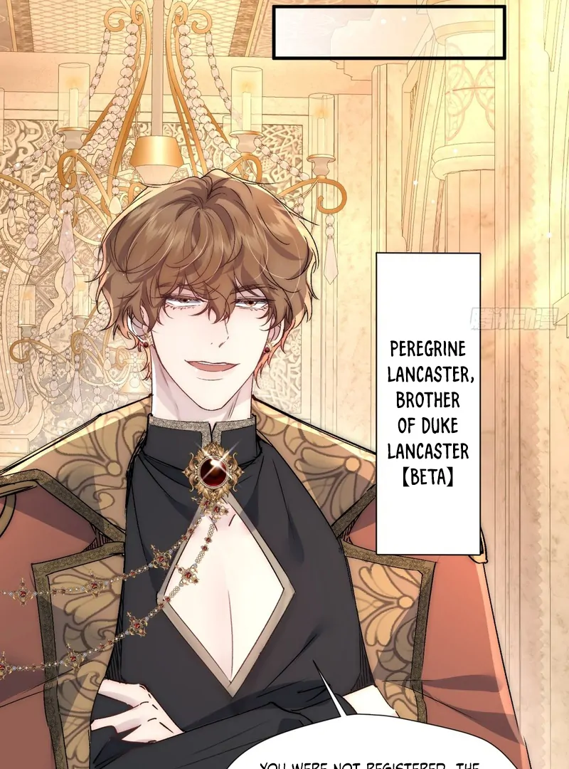 perfect accomplices - Chapter 1 manhwa