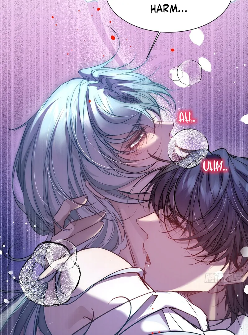 perfect accomplices - Chapter 1 manhwa