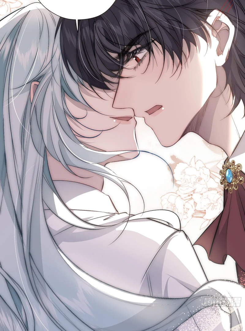 perfect accomplices - Chapter 2 manhwa