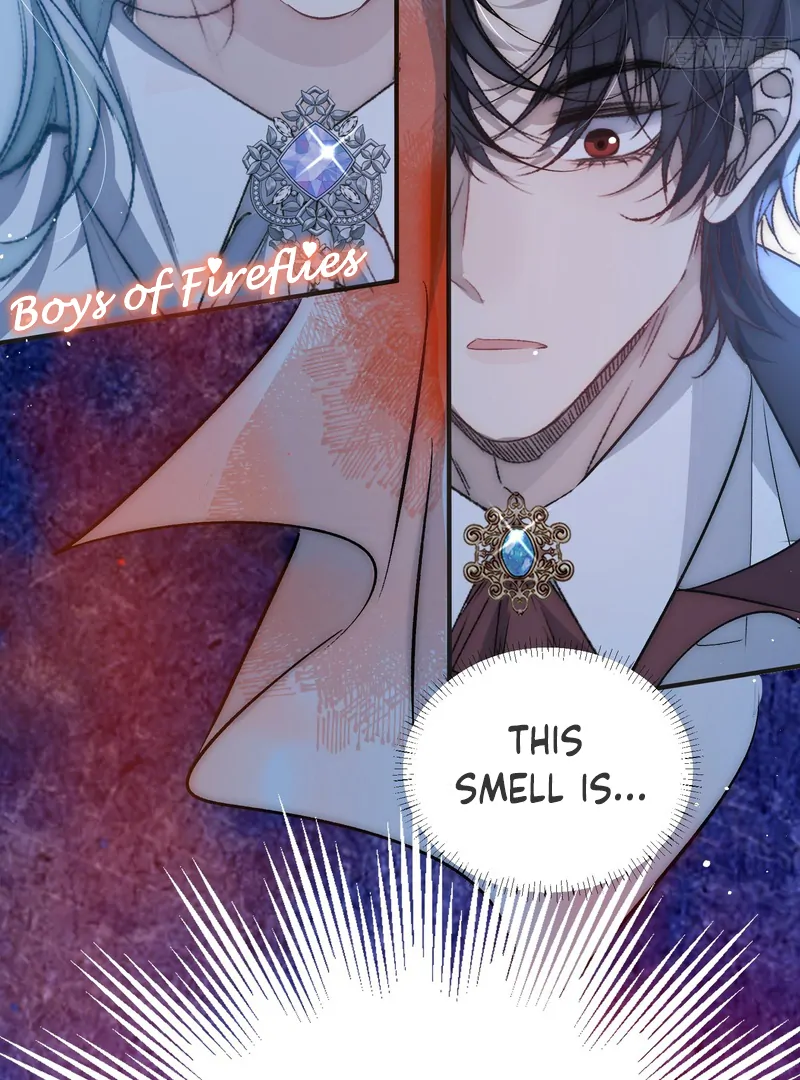 perfect accomplices - Chapter 2 manhwa
