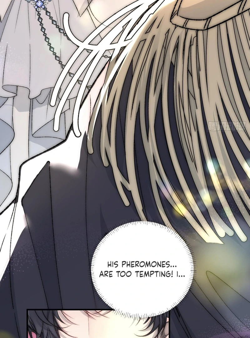 perfect accomplices - Chapter 3 manhwa