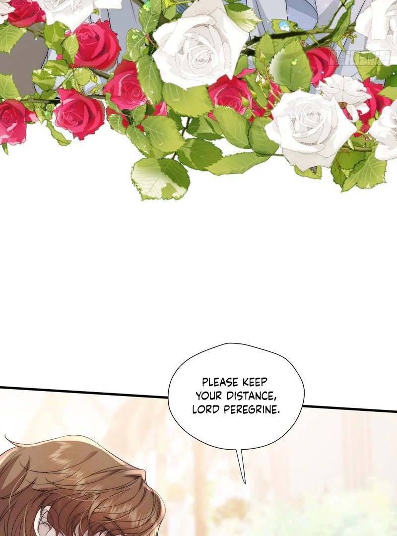 perfect accomplices - Chapter 5 manhwa