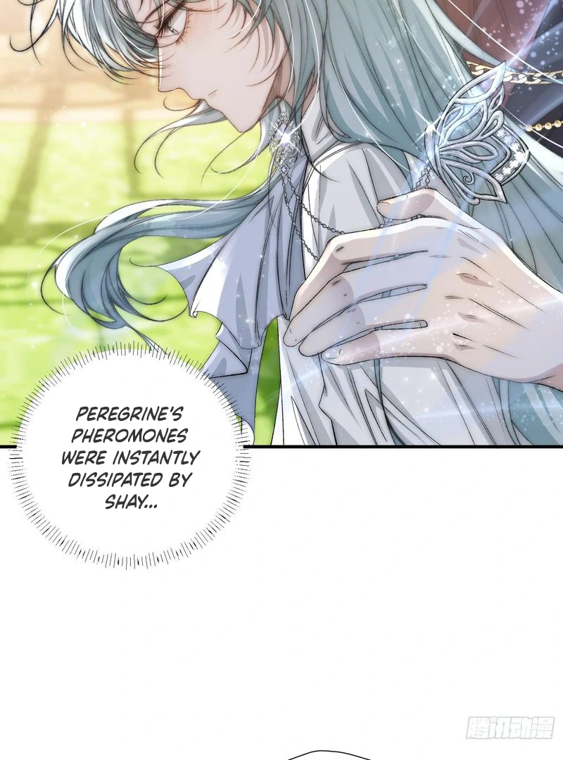 perfect accomplices - Chapter 5 manhwa